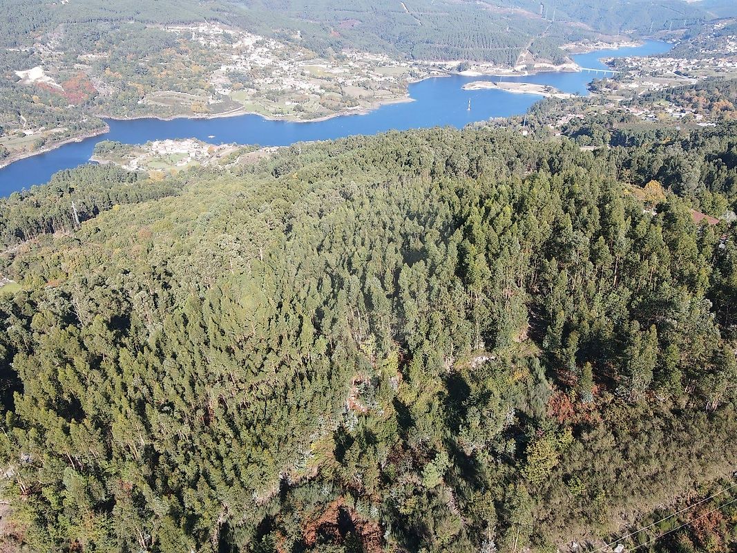 Terreno para venda