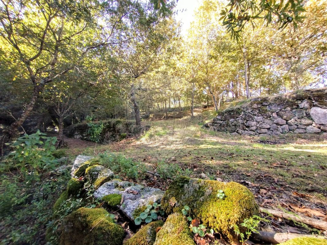 listing 126311008-16 picture-0