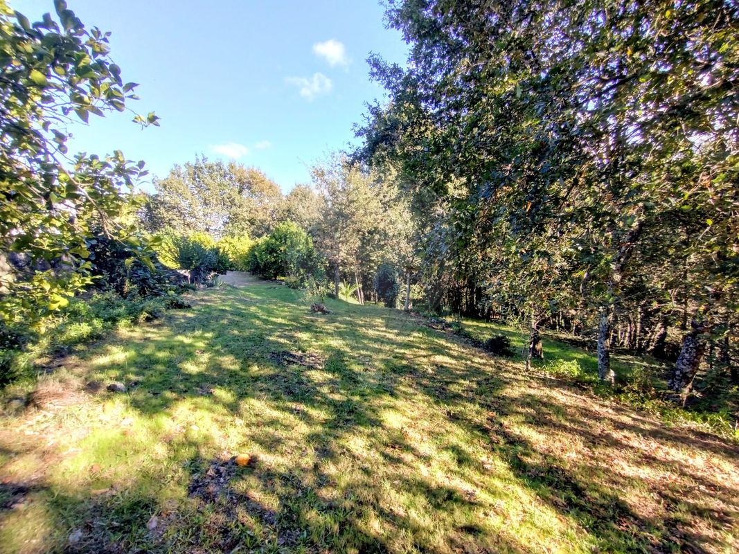 listing 126311008-16 picture-0