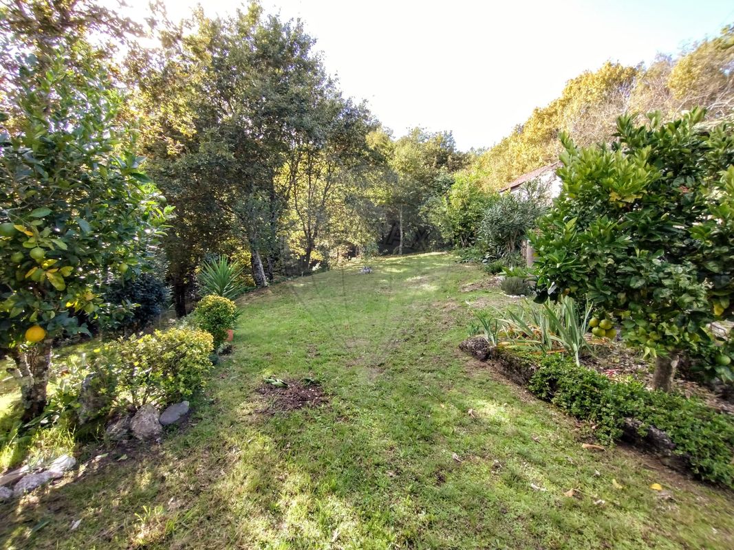 listing 126311008-16 picture-0