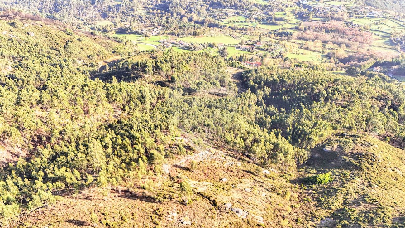 Terreno  para venda
