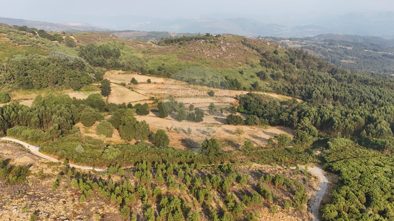Terreno  para venda