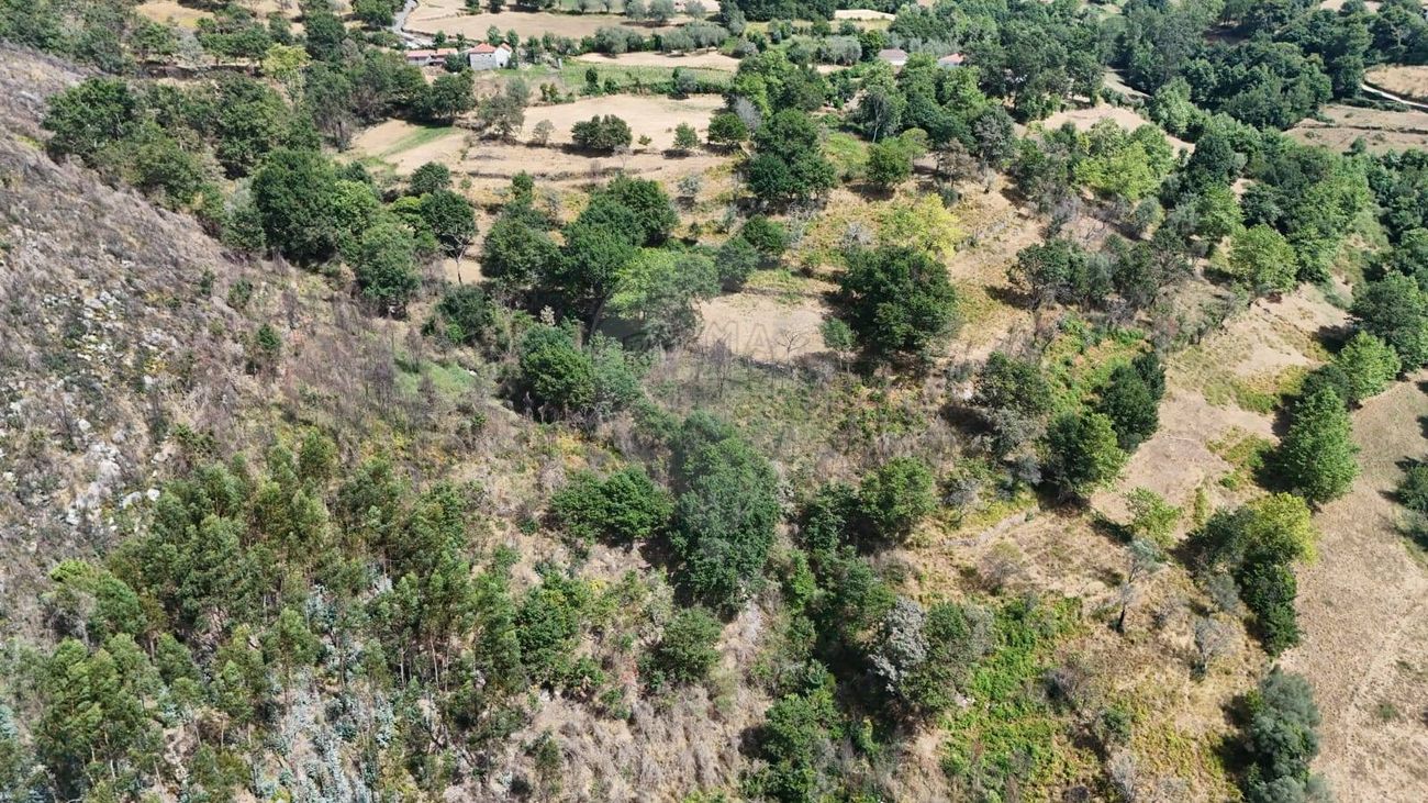 Terreno  para venda