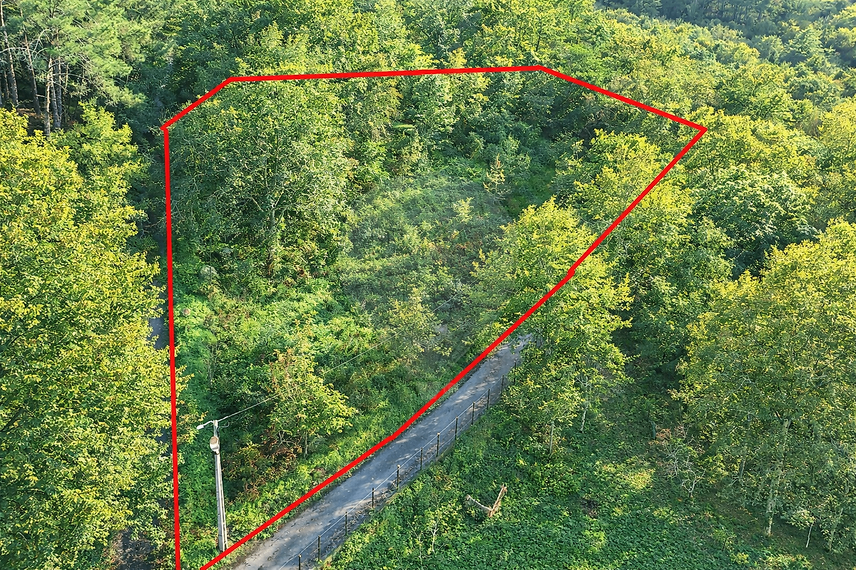 Terreno - Refojos de Basto, Outeiro e Painzela, Cabeceiras de Basto, Braga