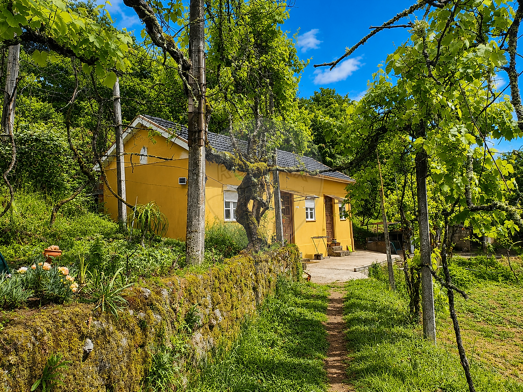 Moradia - Refojos de Basto, Outeiro e Painzela, Cabeceiras de Basto, Braga