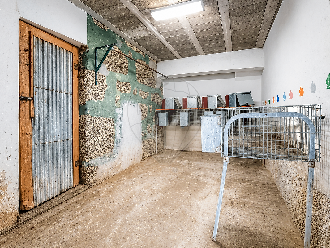 Moradia T3 à venda em Alvite e Passos, Cabeceiras de Basto — foto 14