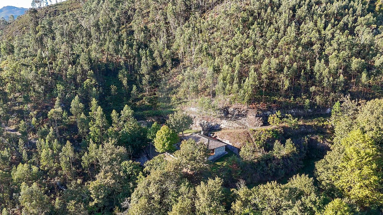 Moradia T3 à venda em Refojos de Basto, Outeiro e Painzela, Cabeceiras de Basto — foto 29