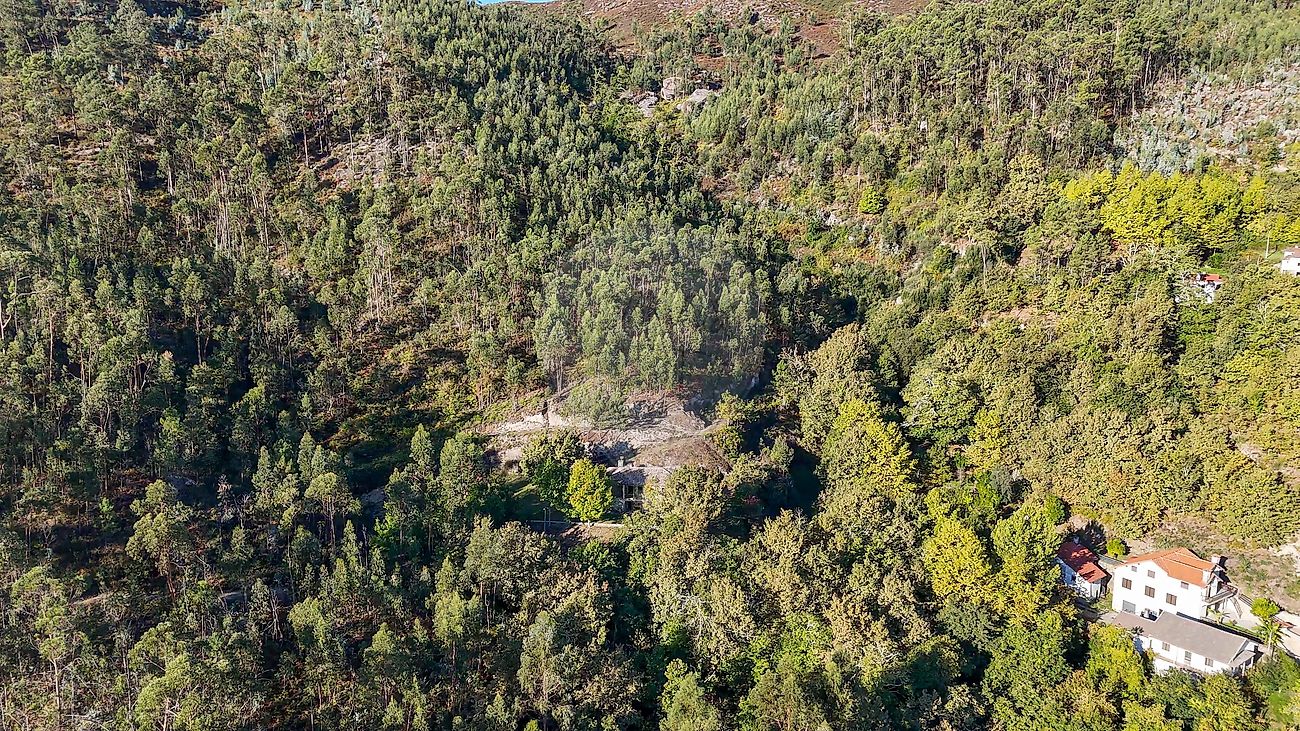 Moradia T3 à venda em Refojos de Basto, Outeiro e Painzela, Cabeceiras de Basto — foto 36