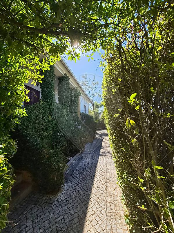 Moradia T5 à venda em Assentiz, Torres Novas — foto 11