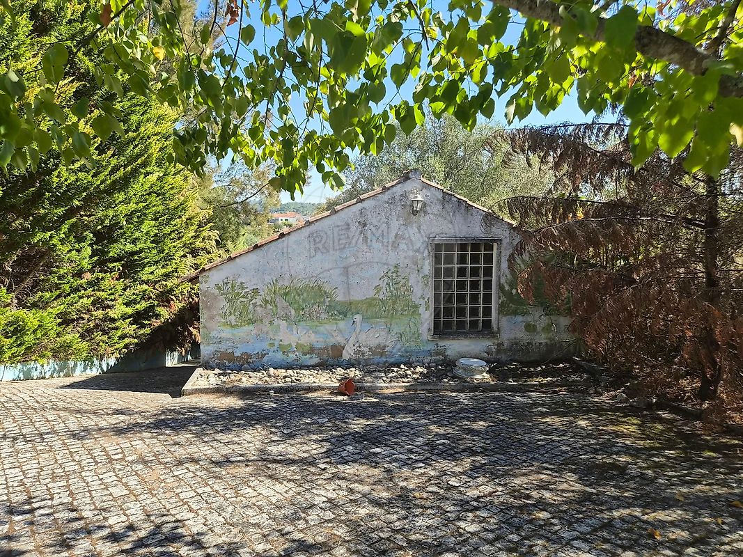 Moradia T5 à venda em Assentiz, Torres Novas — foto 15