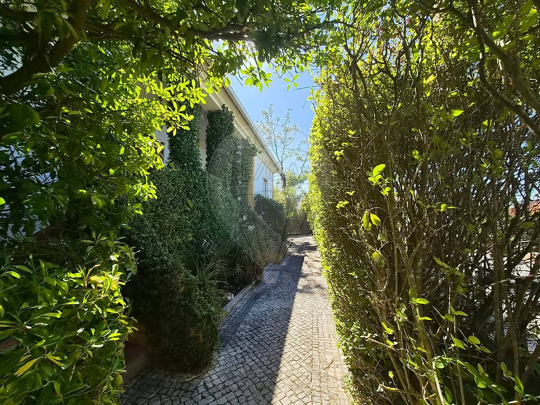 Moradia T5 à venda em Assentiz, Torres Novas — foto 10