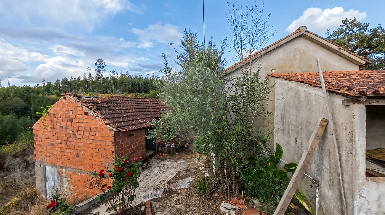Moradia T1 à venda em Almoster, Alvaiázere — foto 22