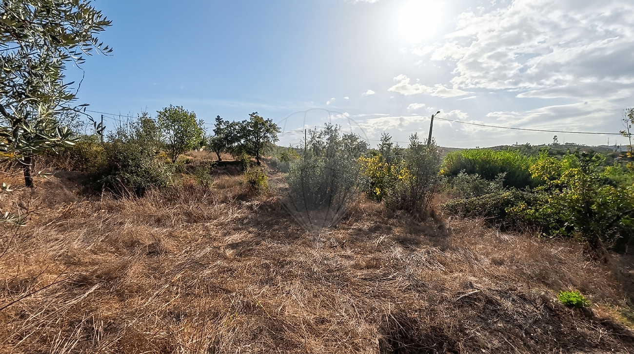 Moradia T1 à venda em Almoster, Alvaiázere — foto 26