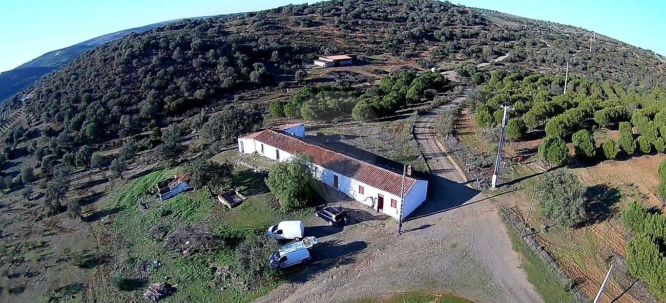 Quinta T3 para venda