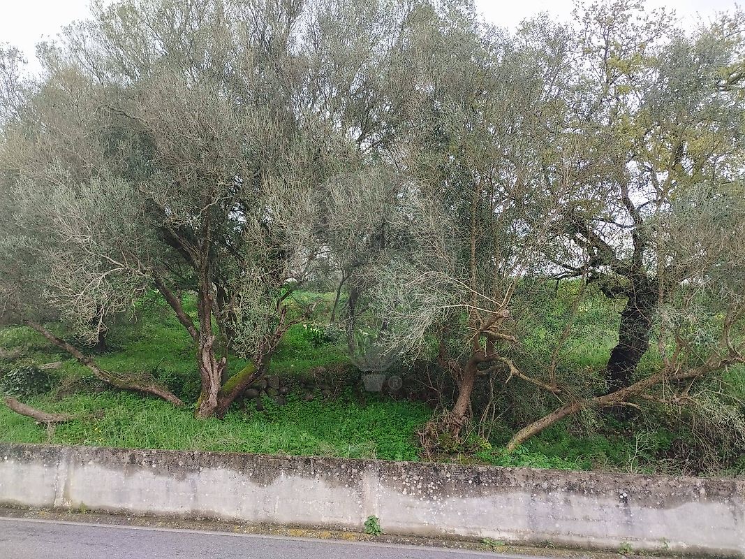 Terreno à venda em Sintra