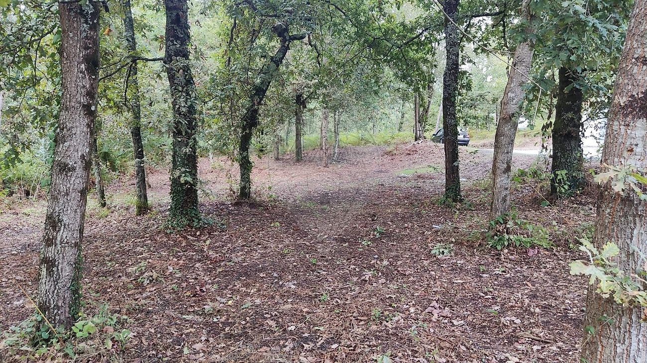 Terreno para venda