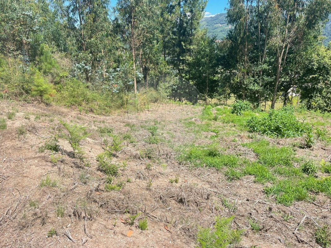 Terreno  para venda
