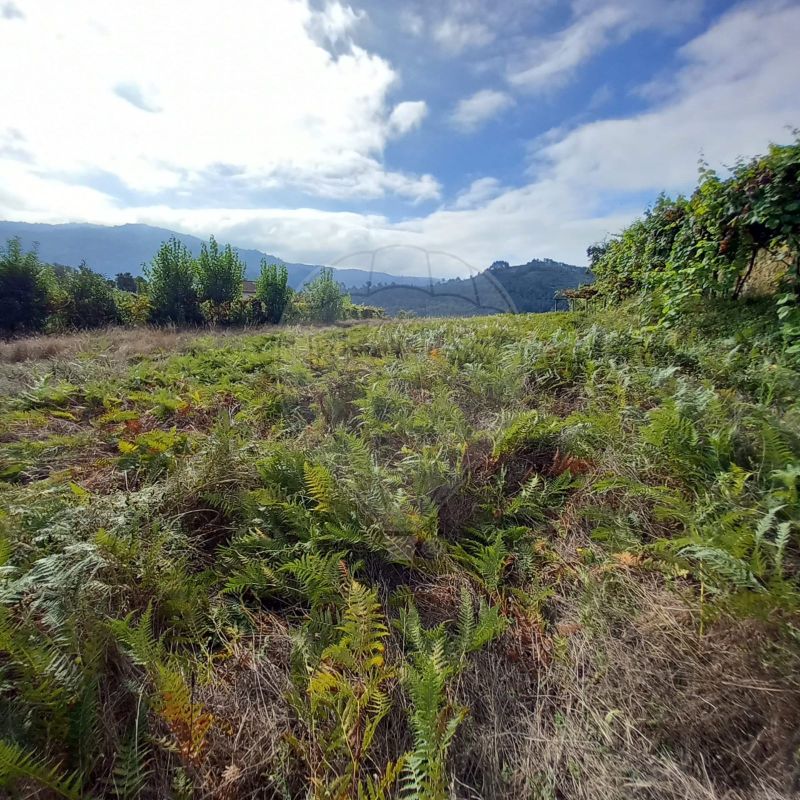 Terreno  para venda