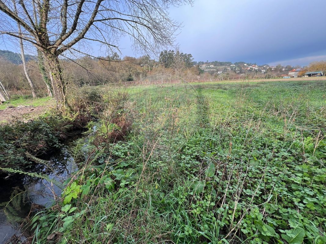 Terreno  para venda