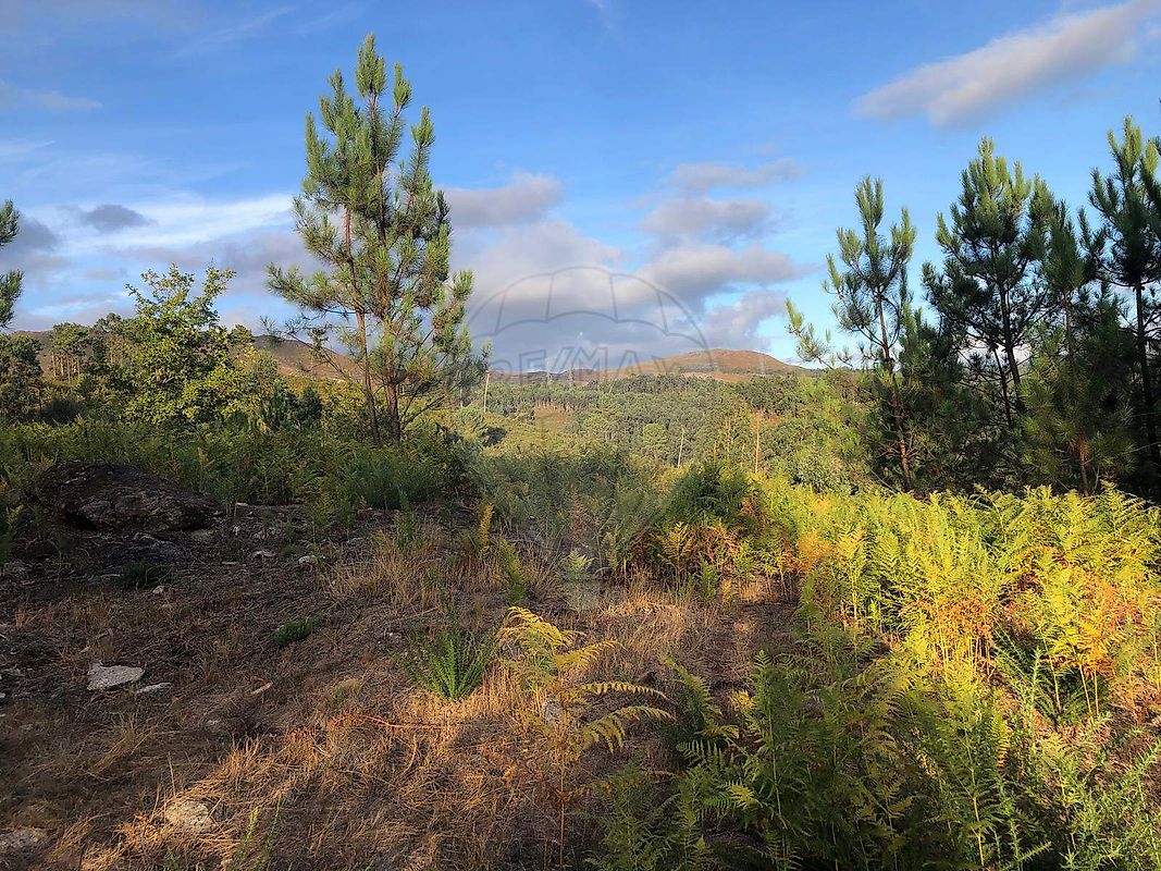 Terreno  à venda em Arcos de Valdevez