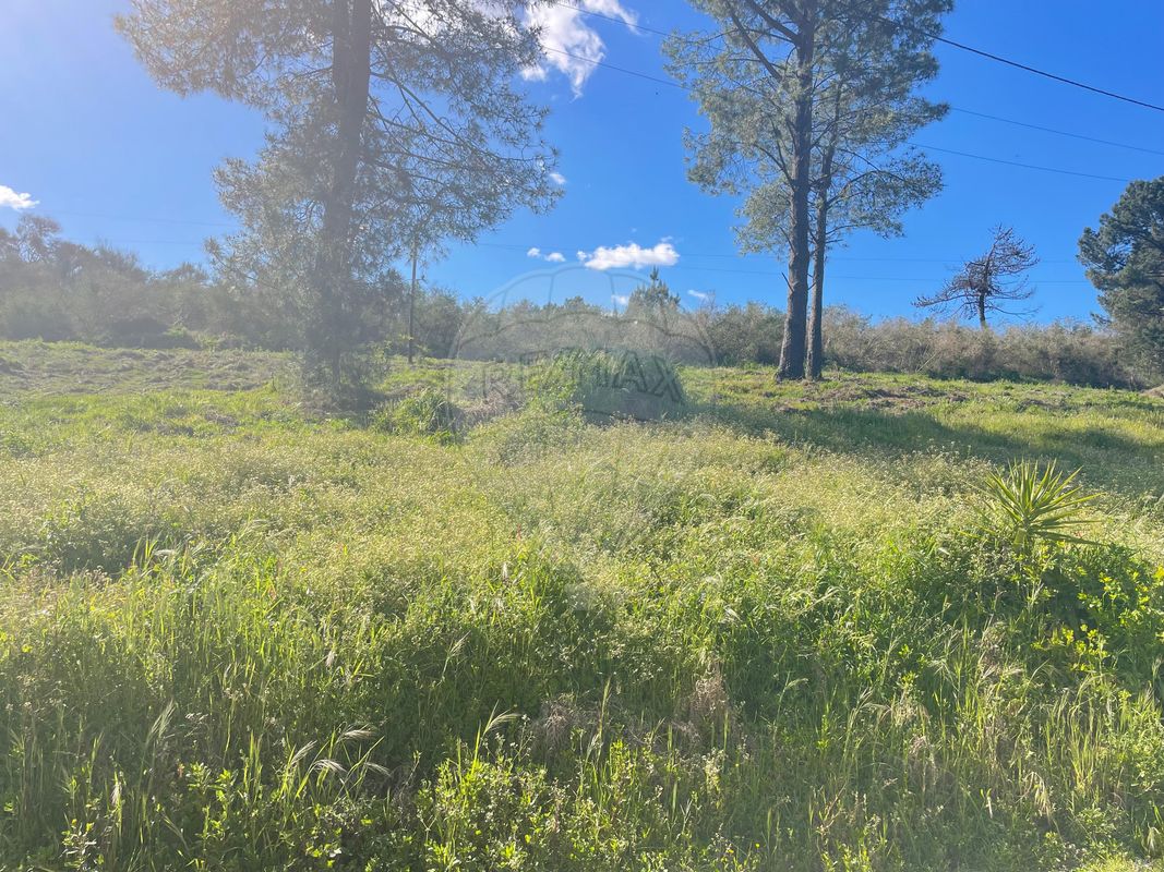 Terreno  para venda