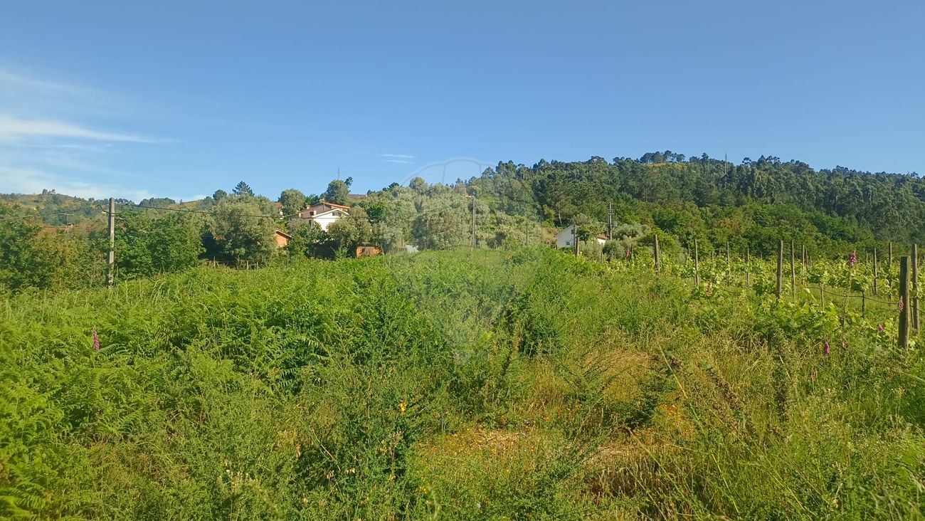 Terreno para venda