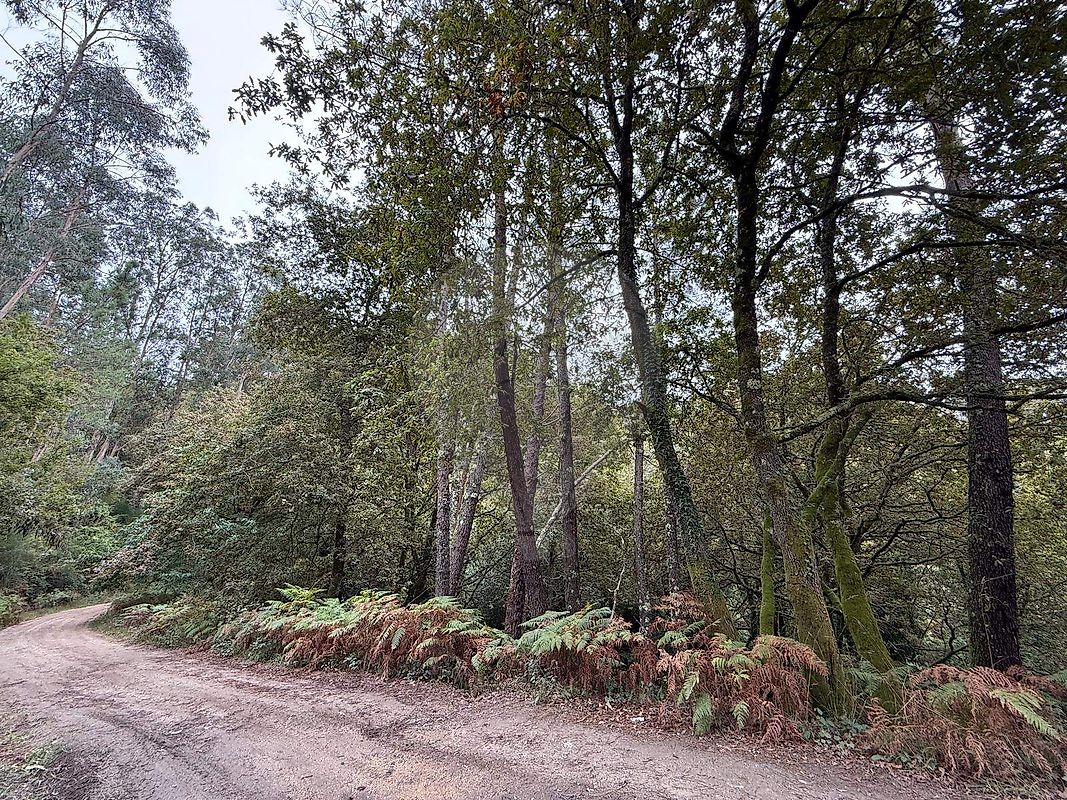 Terreno  para venda