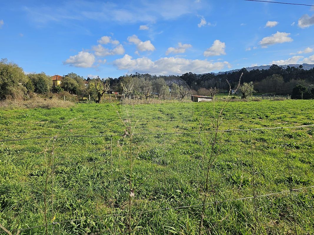 Terreno - Távora (Santa Maria e São Vicente), Arcos de Valdevez, Viana do Castelo