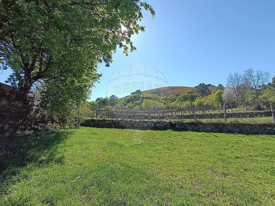 Terreno - Vila Chã (São João Baptista e Santiago), Ponte da Barca, Viana do Castelo