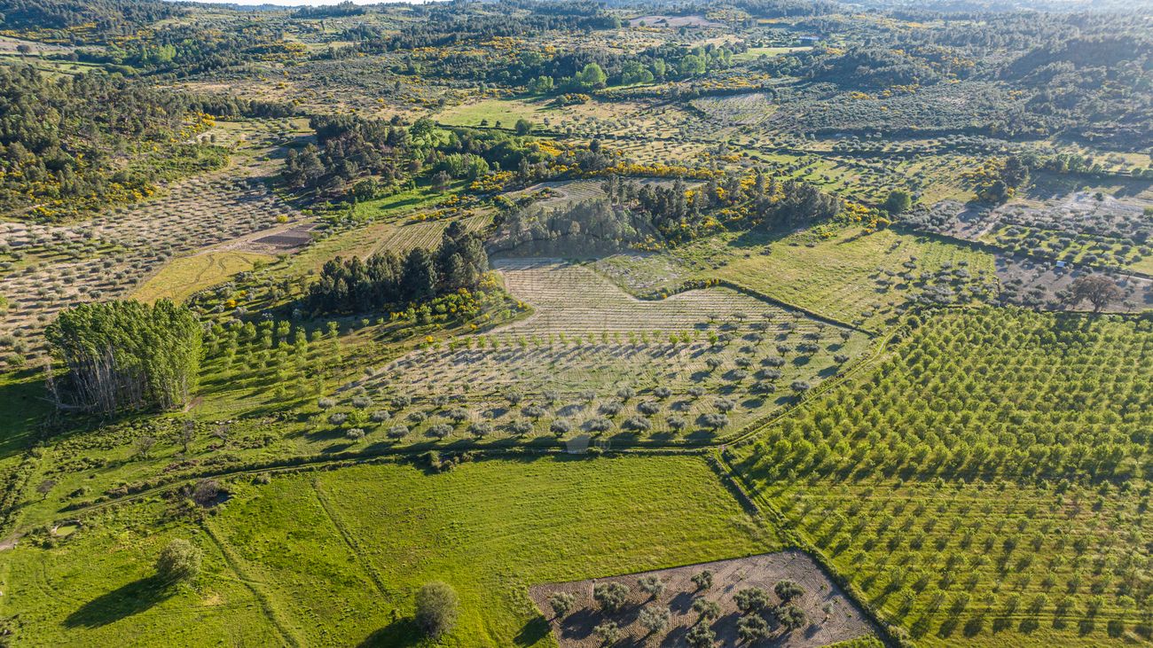 Terreno  para venda