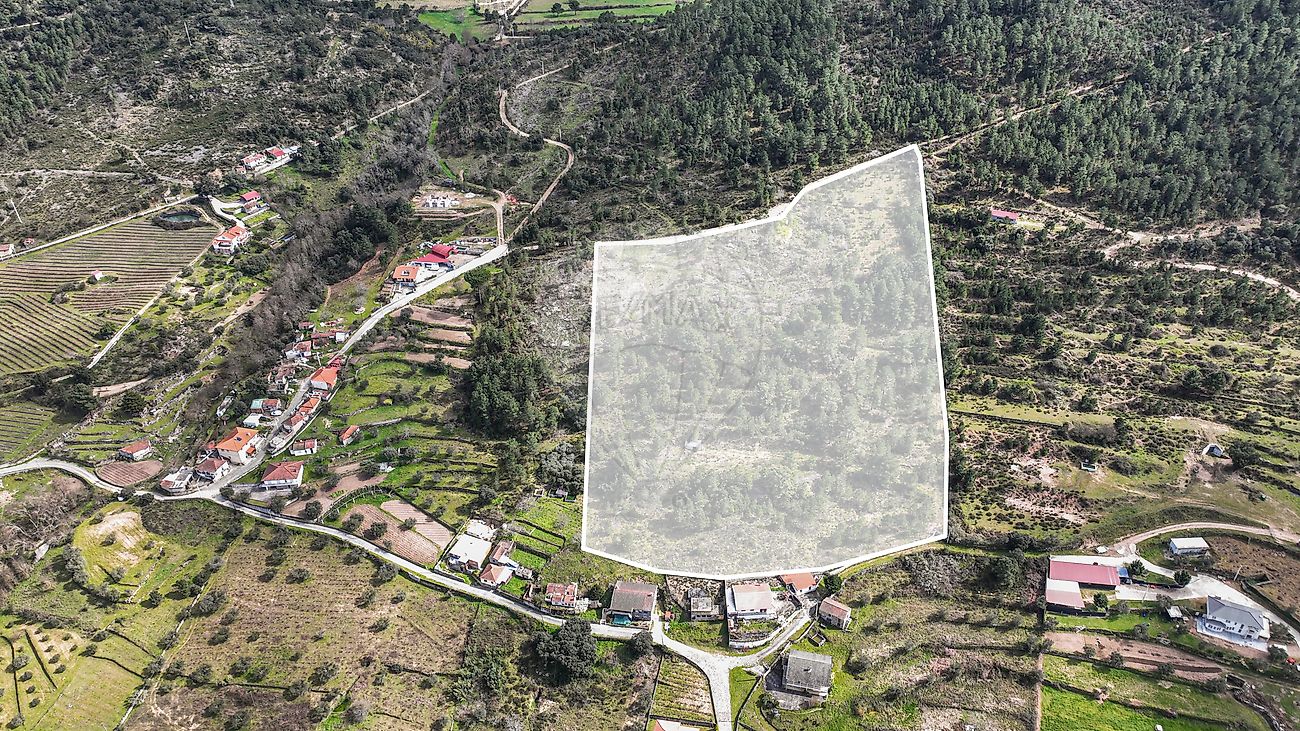 Terreno  para venda