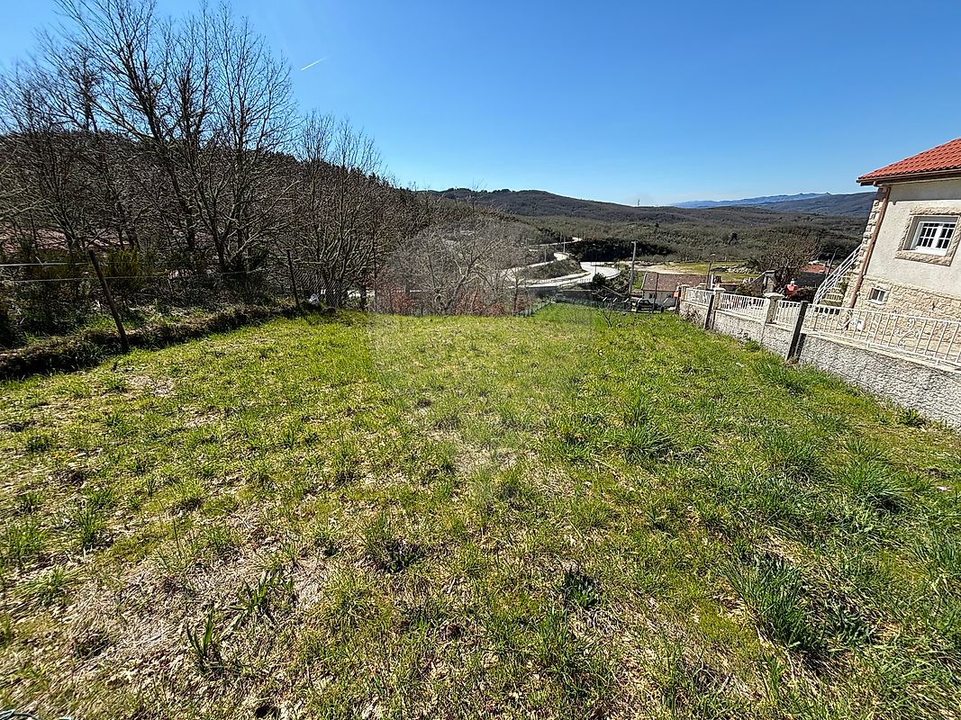 Terreno - Montalegre e Padroso, Montalegre, Vila Real