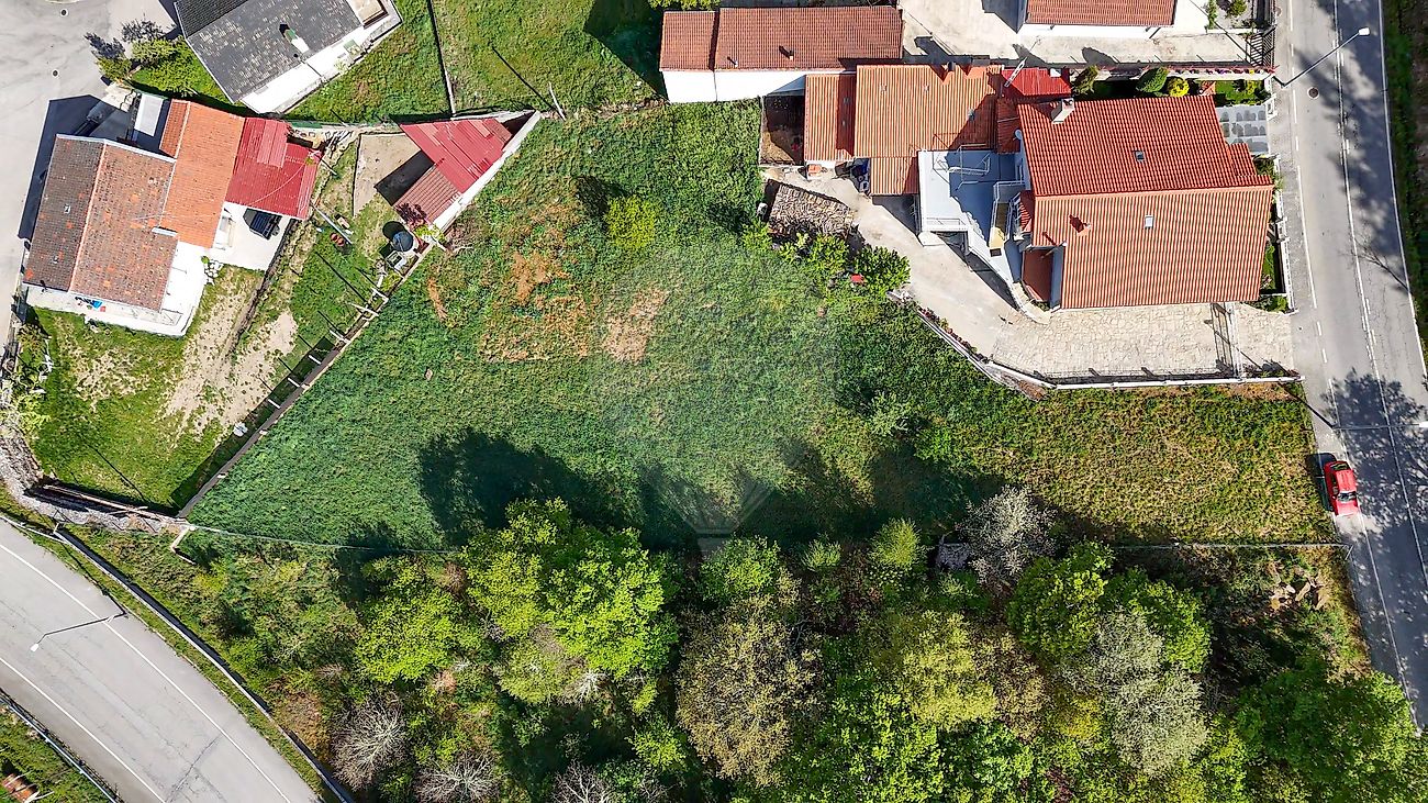 Terreno - Montalegre e Padroso, Montalegre, Vila Real