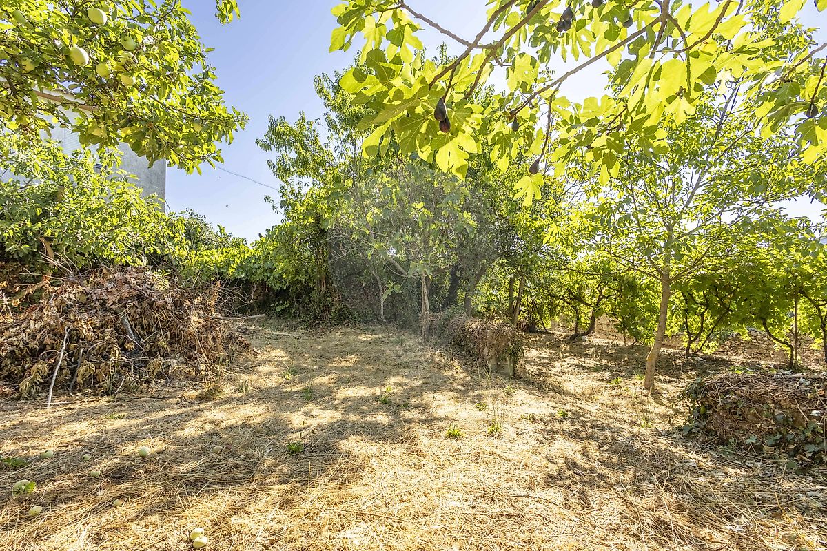 Moradia T4 à venda em Vale de Anta, Chaves — foto 36