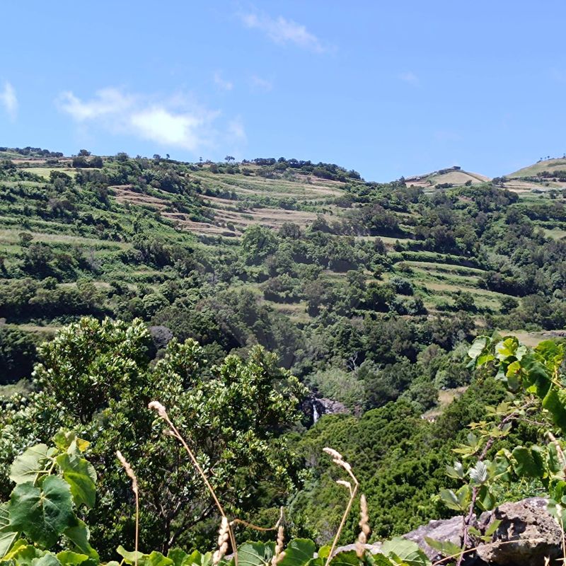Terreno  para venda