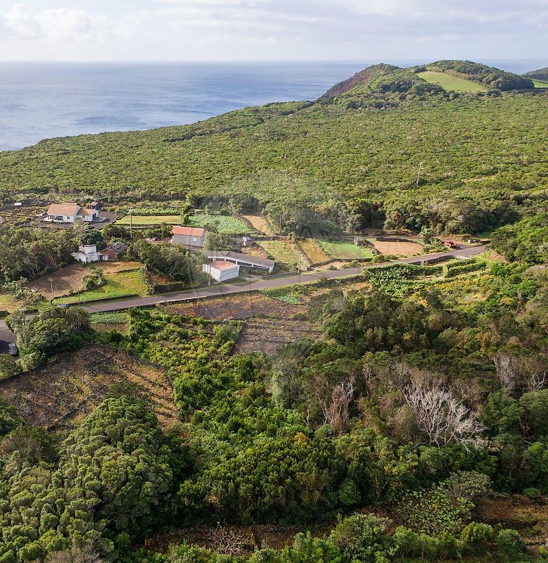 Terreno - Piedade, Lajes do Pico, Ilha do Pico