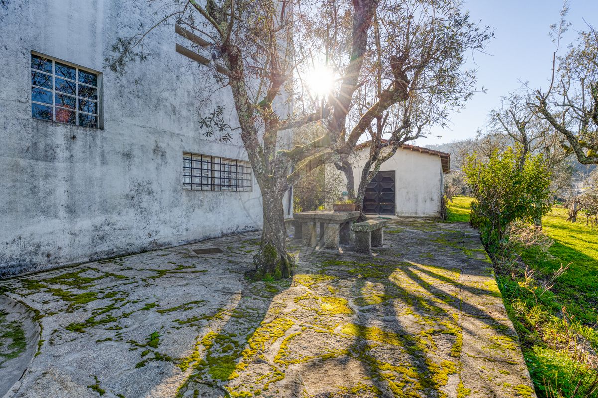 listing 126401124-3 picture-0