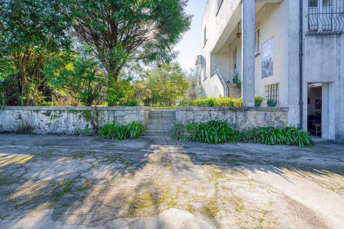 listing 126401124-3 picture-0