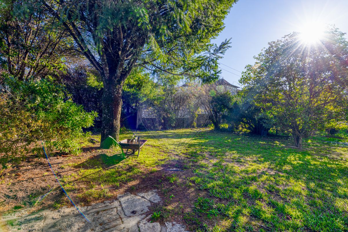 listing 126401124-3 picture-0