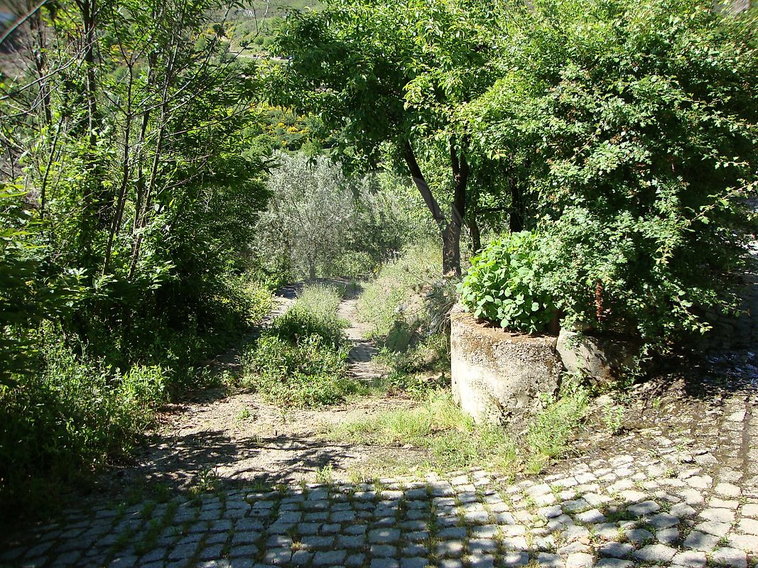 TODO