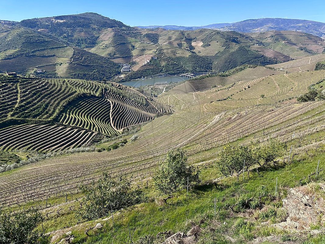 Quinta - Poiares e Canelas, Peso da Régua, Vila Real
