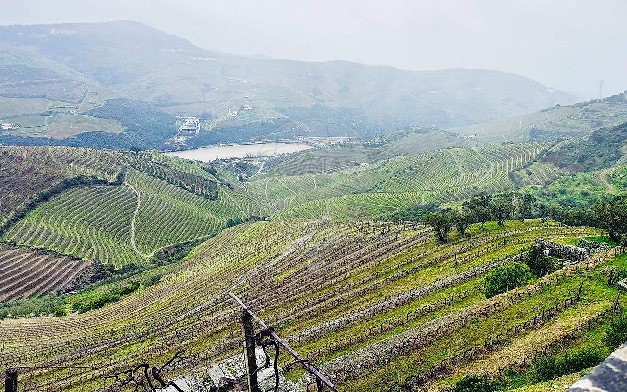 Quinta - Poiares e Canelas, Peso da Régua, Vila Real