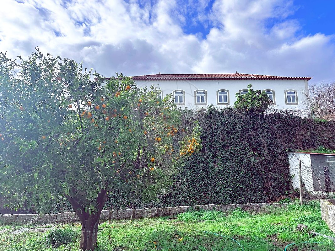 Terreno T1 à venda em Peso da Régua