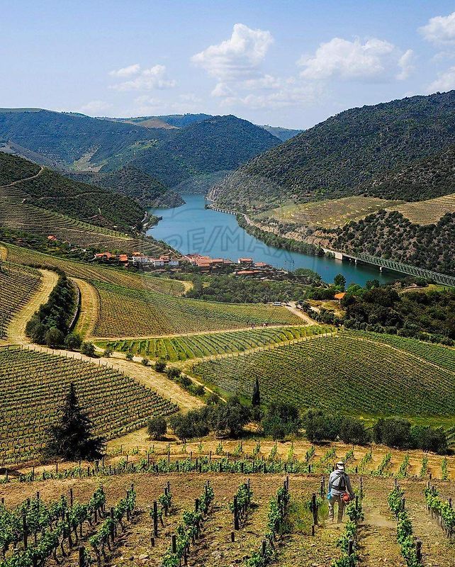 Moradia - Vale de Figueira, São João da Pesqueira, Viseu