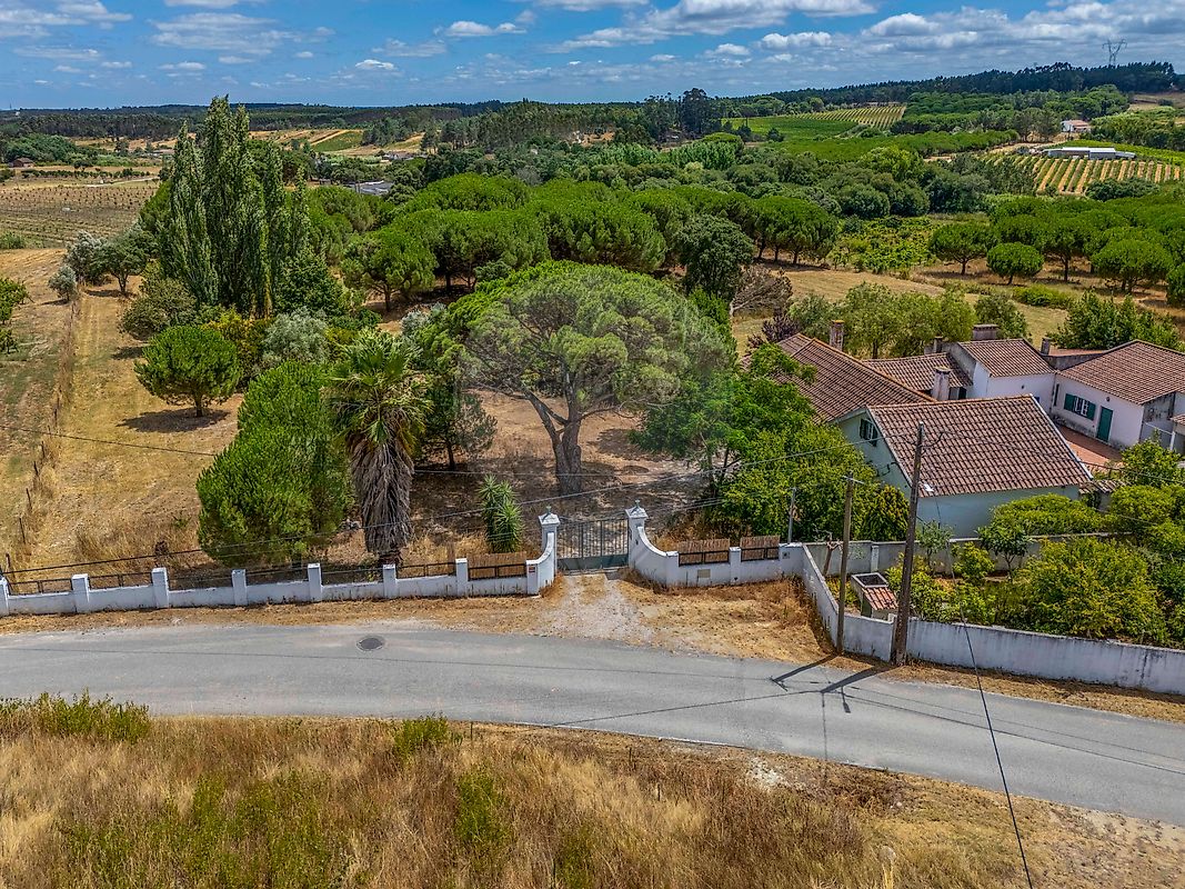 Quinta - Alcoentre, Azambuja, Lisboa