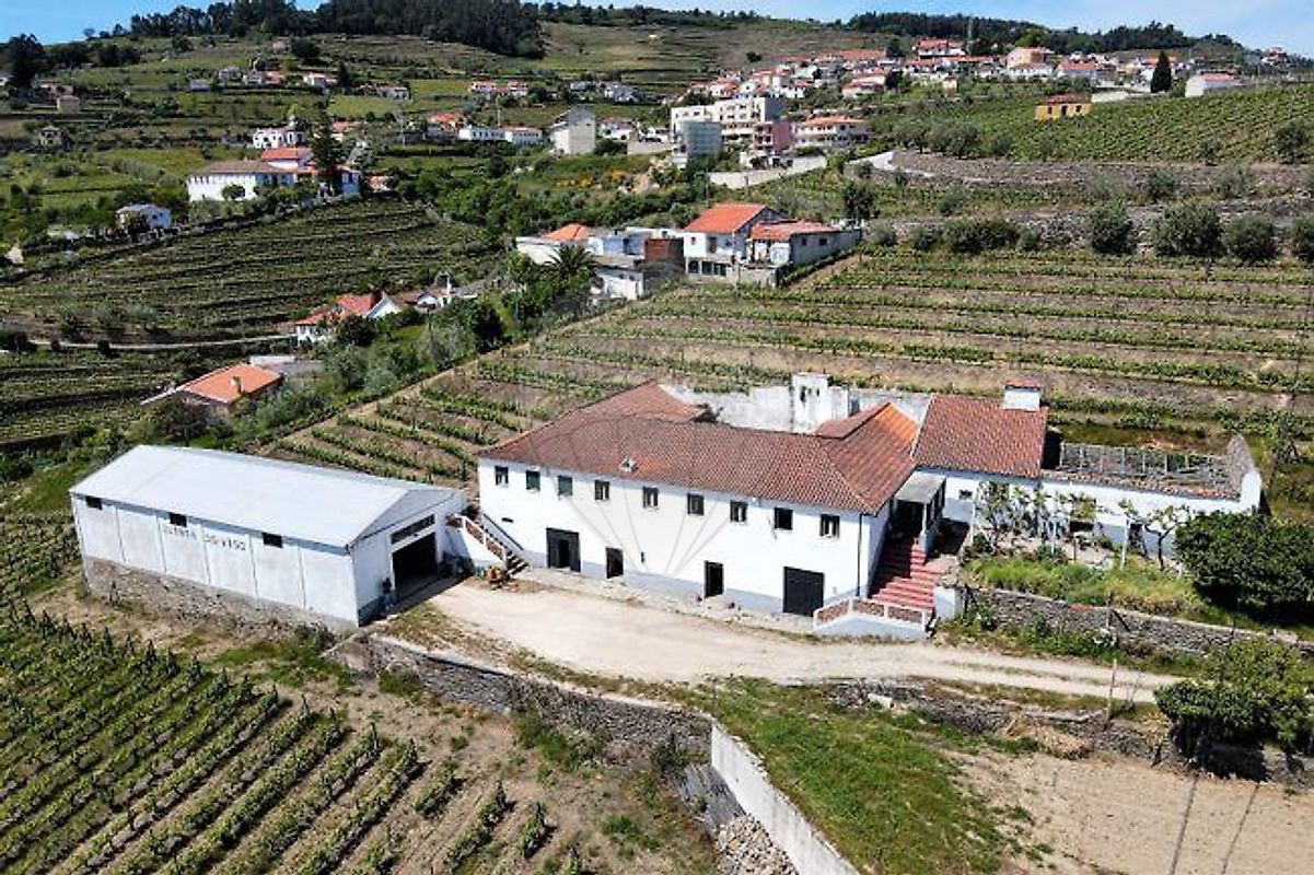 Quinta - Fontelas, Peso da Régua, Vila Real