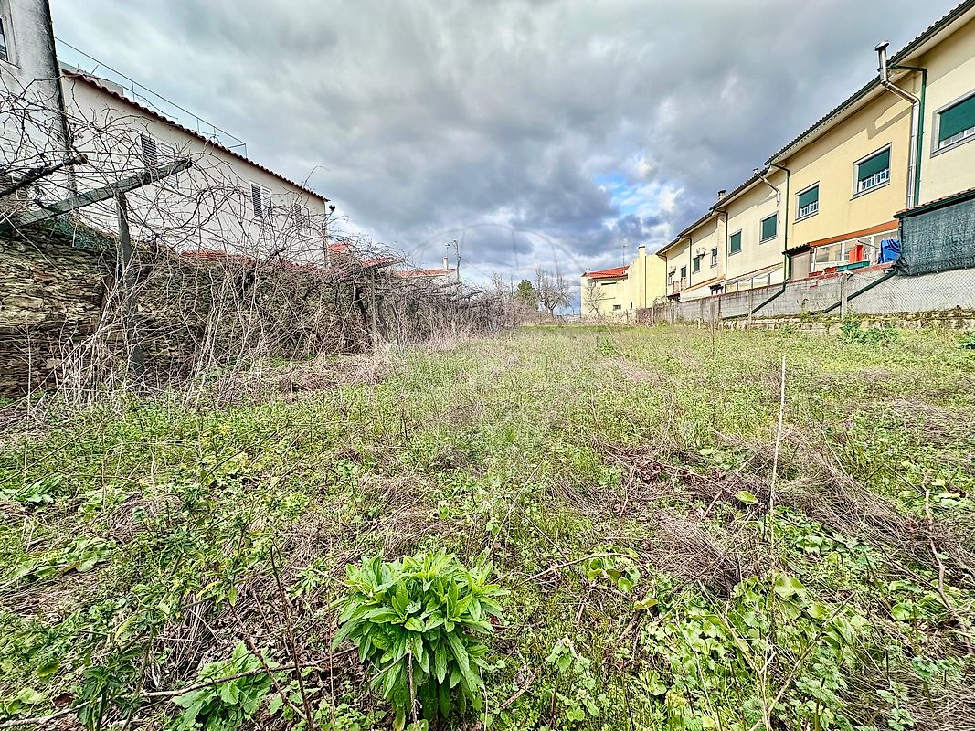 Terreno - São João da Pesqueira e Várzea de Trevões, São João da Pesqueira, Viseu
