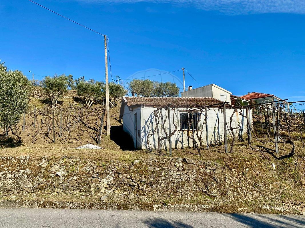 Moradia - Lobrigos (São Miguel e São João Baptista) e Sanhoane, Santa Marta de Penaguião, Vila Real