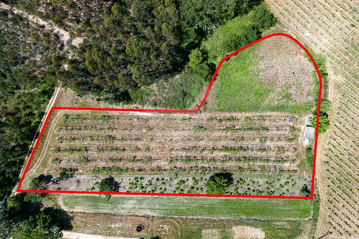 Terreno à venda em Anadia