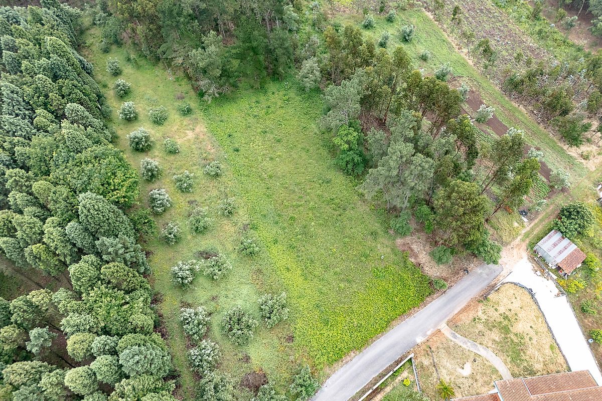 Terreno - Tamengos, Aguim e Óis do Bairro, Anadia, Aveiro